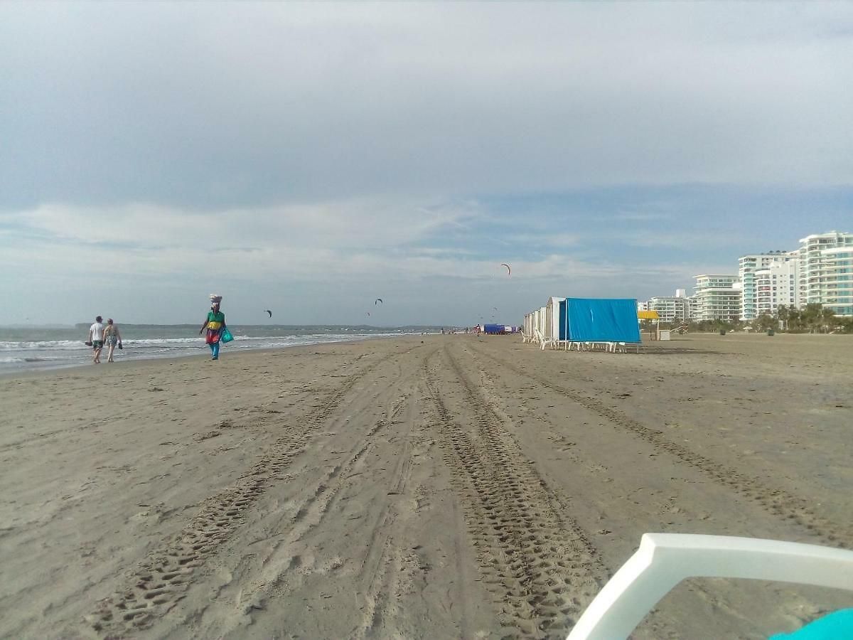Junto Al Mar Y El Manglar