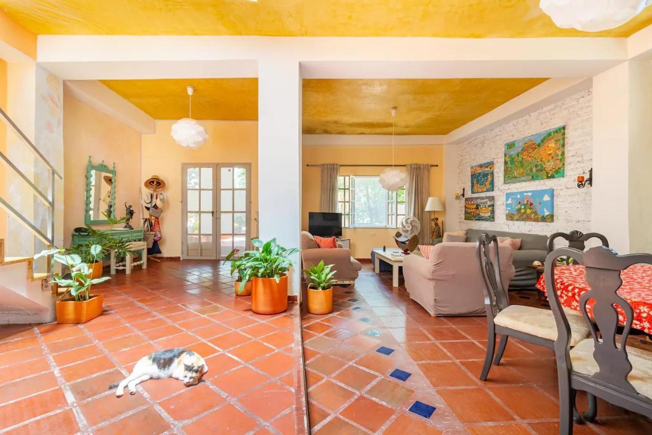 Junto Al Mar Y El Manglar Pensión