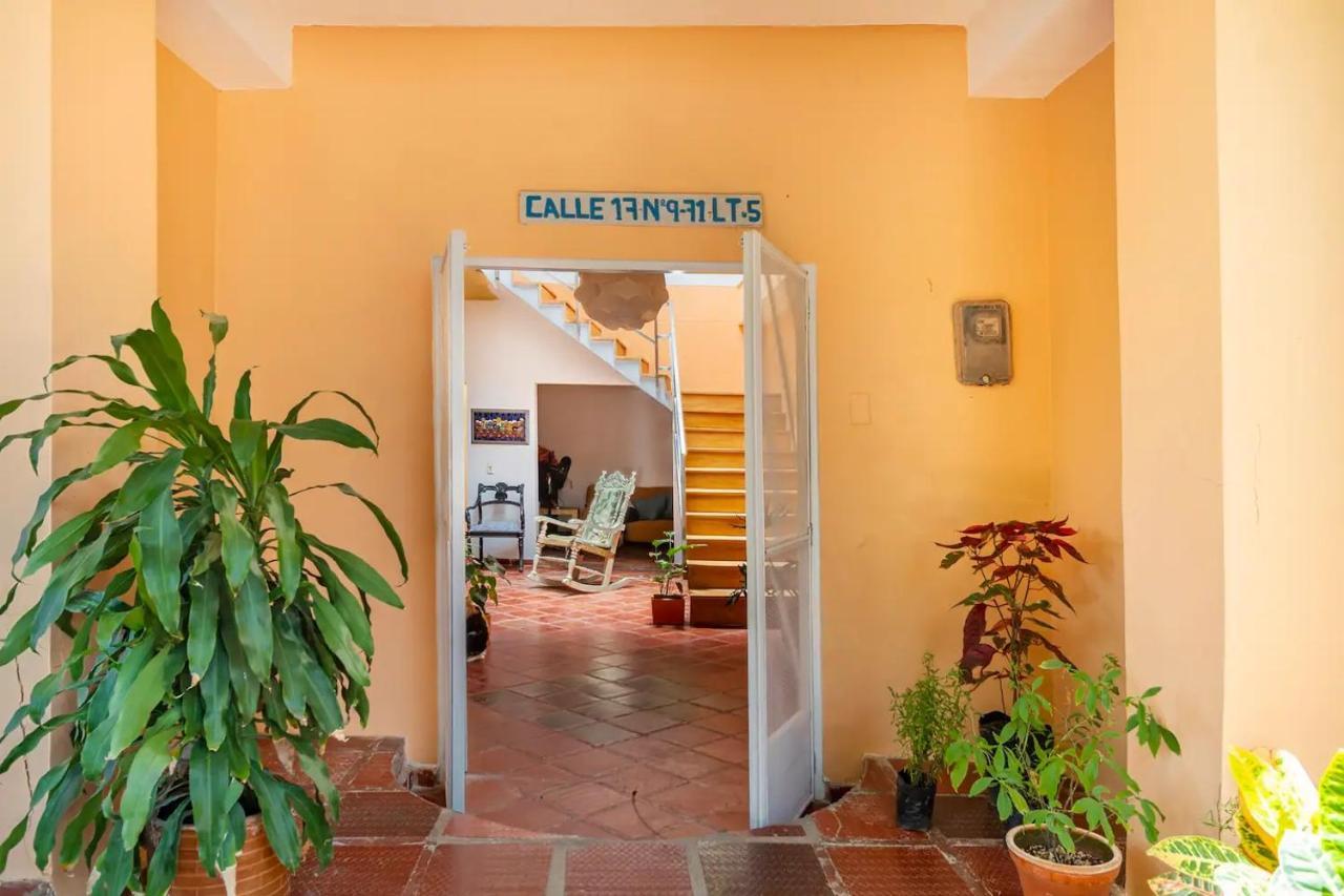 Junto Al Mar Y El Manglar *